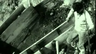 The Coal Mine on the Farm