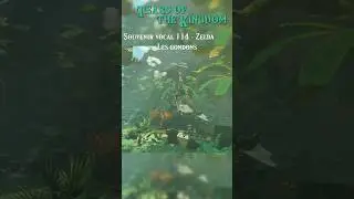 Zelda 114 Les gondons - Tears of the Kingdom (Zelda Notes illustr&eacute;es)