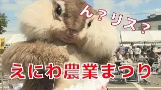 大きなリスは踊ってノリノリの「ちょリス」だった！えにわ農業まつり（JA道央本店）