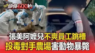 張美阿嬤兒不爽員工跳槽就投毒！對手農場「多隻動物暴斃」業者淚：牠們是心肝寶貝【頭條600秒】