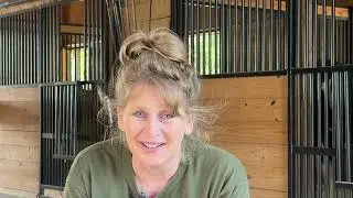 For the Love of a Companion Horse  - Tammy