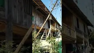 B&igrave;nh y&ecirc;n l&agrave; nh&agrave;