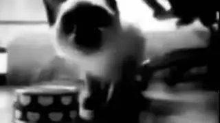 Happy Canimal Unknown Clip (2008)