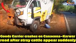 Goods Carrier crashes on Canacona–Karwar road after stray cattle appear suddenly.