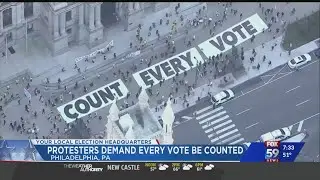 Protesters demand every vote be counted