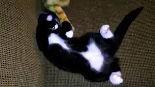 Flash Nap