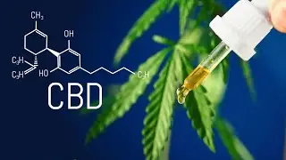 CBD Dosage: Determining the Right Amount for You and how to use it safe and effectively!