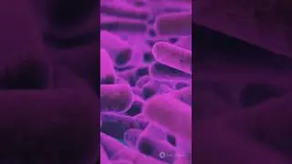 KOMPUTERY BIOLOGICZNE JUŻ DZIAŁAJĄ