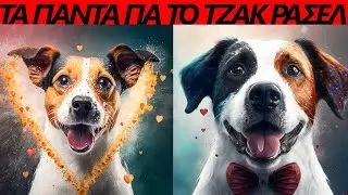 Μάθετε το Τζάκ Ράσελ🐾 Χαρακτήρας, συμπεριφορά, ανάγκες. Jack russell ένας γεμάτος ενέργεια σκύλος!
