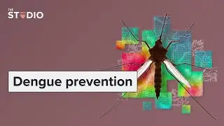 Combining solutions for dengue prevention