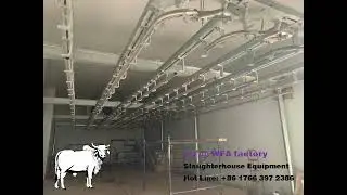 WFA Turnkey Slaughterhouse Project Solution of complete cow goat cattle slaughter line equipment