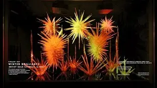 Barneys New York 2015 Holiday Windows Unveiled