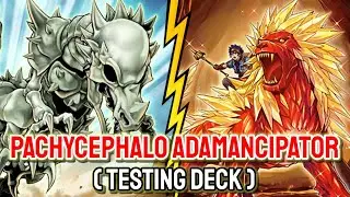 YGOPRO - Pachycephalo Adamancipator | Testing Deck
