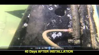 Comparison of Freedom Lift Before and After Barnacle Zapper Install