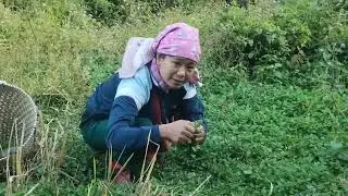 Organic green vegetables 💞💞