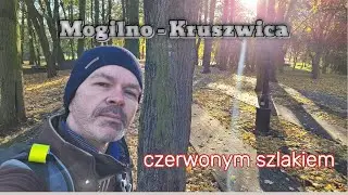 Szlak Mogilno - Kruszwica