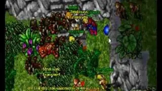 Tulom server Cisner