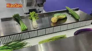 400S Fruit and Vegetable packing machine