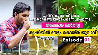വീട്ടിലെ മത്സ്യ കൃഷി / Fish Farming at Home / Fish Farming Malayalam / meen valarthal