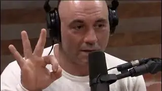 The 