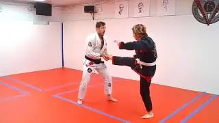 Gracie Fundamentals 22 - Front Push Kick Defense - Twisting Arm Control