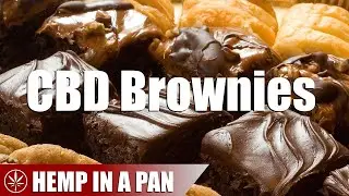 Ever heard of the 