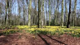 27.03.2017 Ledeboerpark Enschede