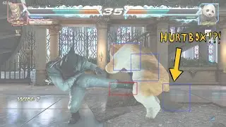 Where is Panda's lower Hurtbox Tekken  7 Online Match
