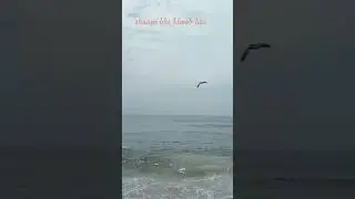 Shaam Bhi Khoob Hai 🌅 | Marina Beach Chennai | Relaxing View #love #nature