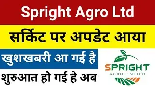 सर्किट पर अपडेट आया है Spright Agro Share Latest News | Spright Agro Share | Spright Agro Latest