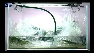 Layout 46 (200L) by Dan Crawford