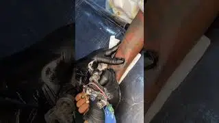 Live highlight