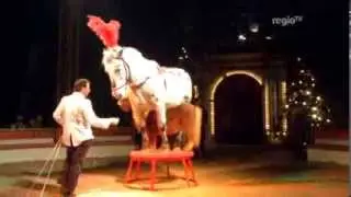 Ulmer Weihnachtscircus 2013 - Manege frei für den Globe of Speed, Exotenzug uvm. (Regio TV Schwaben)