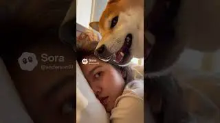Breakfast Service Is Late cute #cuteanimals #funny #hamster #shibainu #cat #parrot