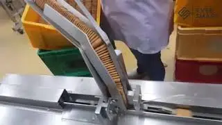 Biscuit Packaging Machine | Flow Wrapper
