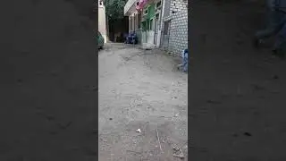 چديد