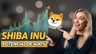 SHIBA ARMED THE ROCKET - KNOW THE IDEAL MOMENT