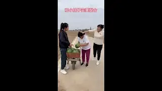 #Favorite Incentive Program# funnyshorts #bestmoments #funnyvideo #funny#Rural Interesting Things