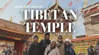 World's Largest Tibetan Temple Outside of Tibet?! | Lijiang & Shangri-la, Yunnan