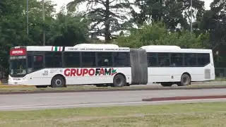 GrupoFAM Linea 51 Interno 6231 TodoBus Pompeya 3 Agrale Articulado Con Aire Acondicionado