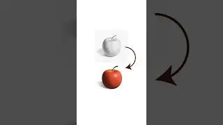 How to Design a Professional Logo in Adobe Illustrator