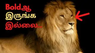 Be Bold in 60 Seconds | Confidence Secrets #bebold