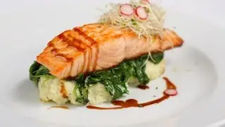 True North Salmon