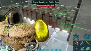 Breeding Griffins with & without Pheromone & color the baby-Ark survival evolved تزاوج كائن الجريفن