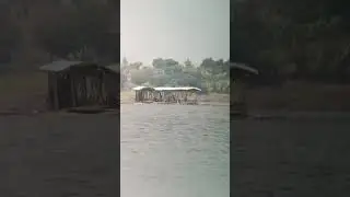 sepot ikan niladi bendungan saguling