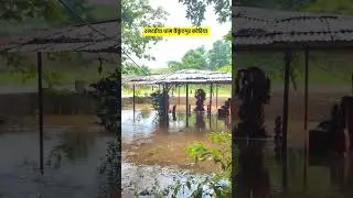 Baikunthpu #baikunthpur #ramdaiyadhaam #shorts