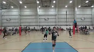 MVSA 14 Heat - Set 3