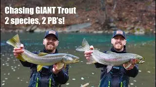 The Biggest Trout of My Life.. (Jerkbait fishing with Rapala Countdown Elite)