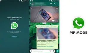 WhatsApp Messenger Latest Update In December 2018 l Pip - Picture in Picture