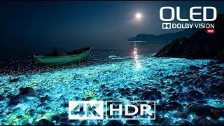 4K HDR Color Perfection | True Dolby Vision Showcase (60FPS)